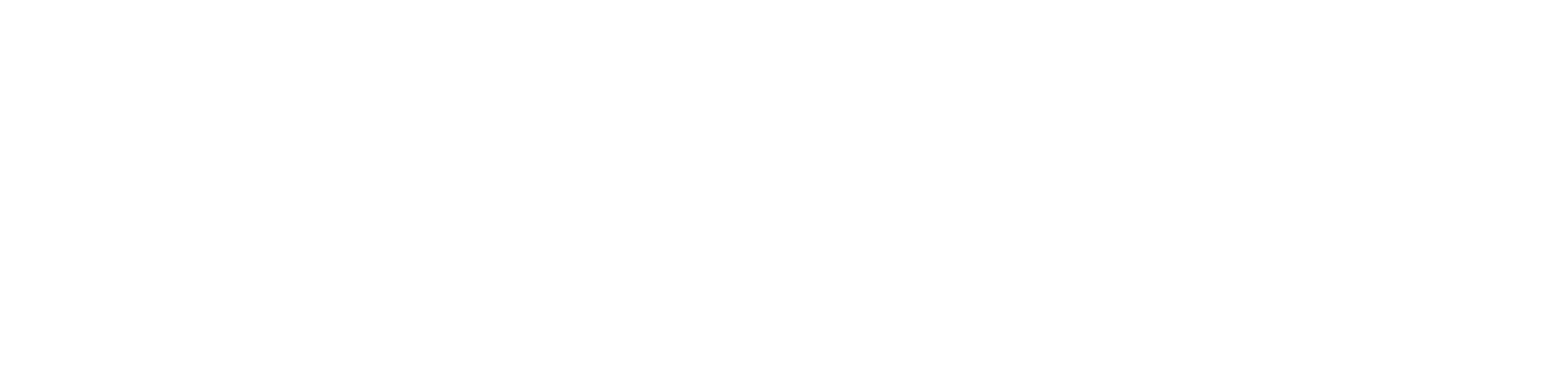 Incognito